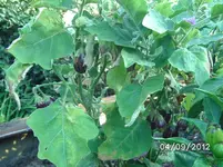 BILD1327.webp