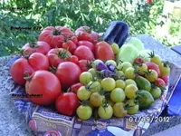 BILD0730.webp