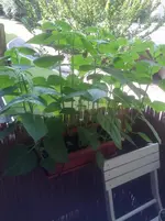 2012-09-07 16.38.32.webp