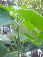 2012-09-07 16.38.43.webp