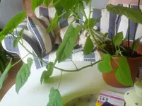 2012-09-07 16.39.23.webp