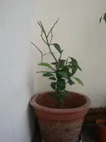 2012-09-06 17.32.41.webp 2012-09-06 17.32.41.webp