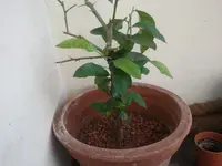 2012-09-06 17.32.50.webp 2012-09-06 17.32.50.webp