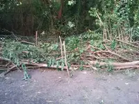 2012-09-07 16.51.43.webp