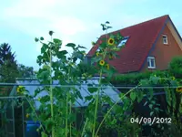 BILD1459.webp