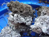 DSCF3493.webp