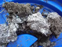 DSCF3494.webp