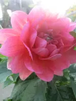 CIMG1673.webp