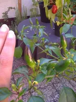 ecuador2.webp