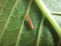 DSCF7055.webp