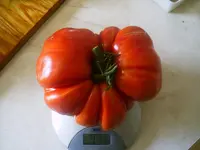 k-PICT0007.webp