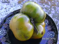 BILD0745.webp