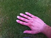 rasen-hand.webp
