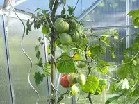 GWH-09-09-12.webp