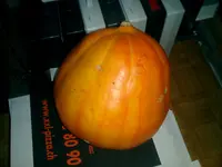 CIMG0007.webp