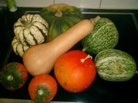 CIMG0005.webp