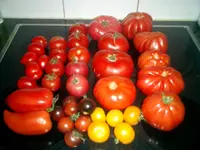 CIMG0002.webp