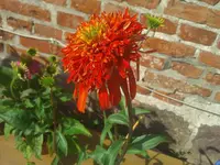 WP_000188.webp