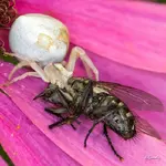 blog_SAM_3081.webp