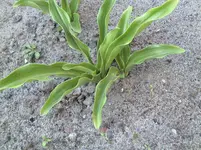 DSC00023.webp