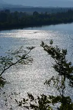 DSC_0379.webp