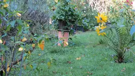 IMG_0217.webp
