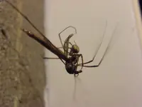 DSCF0373.webp