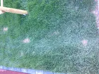 Foto 1.webp