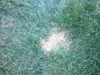 Foto 2.webp