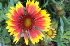 2012_0910Sommer0001.webp