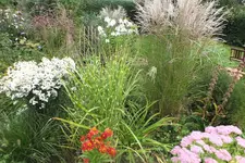 2012_0906Sommer0016.webp