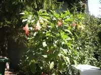 BILD1705.webp