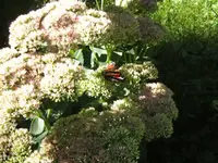 BILD1723.webp