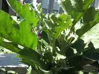 BILD1707.webp