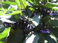 BILD1706.webp