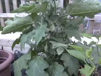 BILD1755.webp