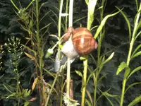 BILD1694.webp