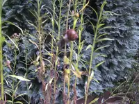 BILD1692.webp