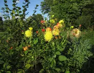 1-IMG_3471.webp
