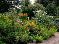 1-IMG_3573.webp