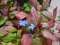 DSC00158.webp