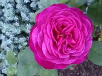 DSC00167.webp