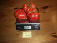 CIMG3198.webp