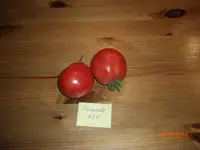CIMG3199.webp