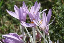 IMG_1716.webp