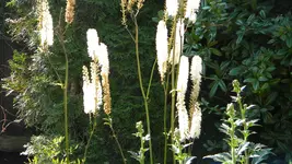 DSCN3668.webp