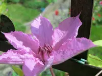 CIMG1699.webp
