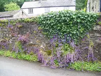 030 mauer in clearbrook.webp