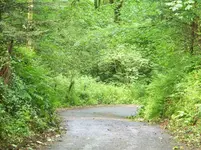 033.webp