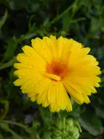 074.webp